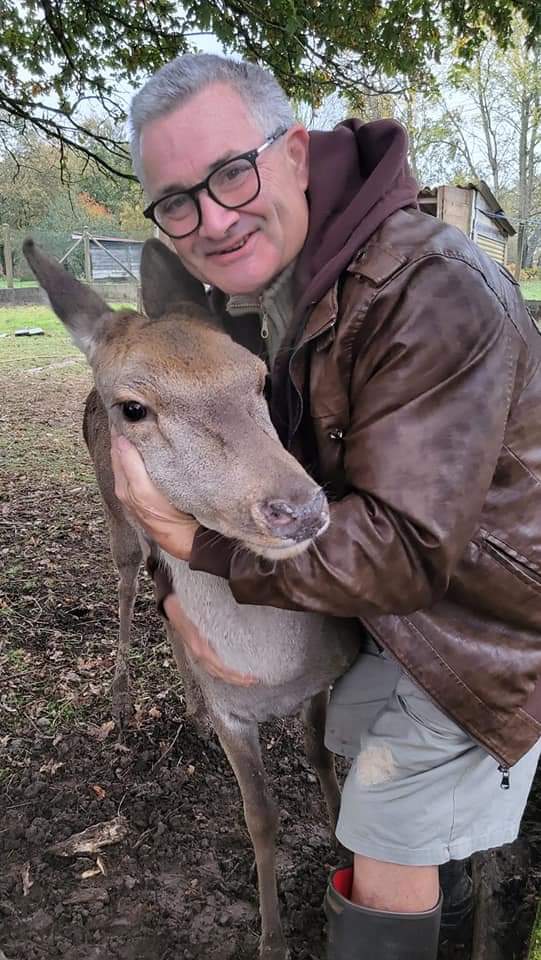 Perfil de Wilfred, 55 años, ts escort en Albons