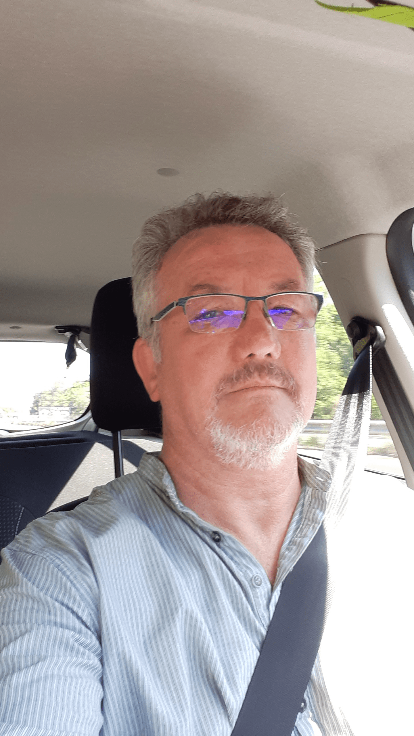 Perfil de Ovide, 55 años, ts escort en Abella de la Conca