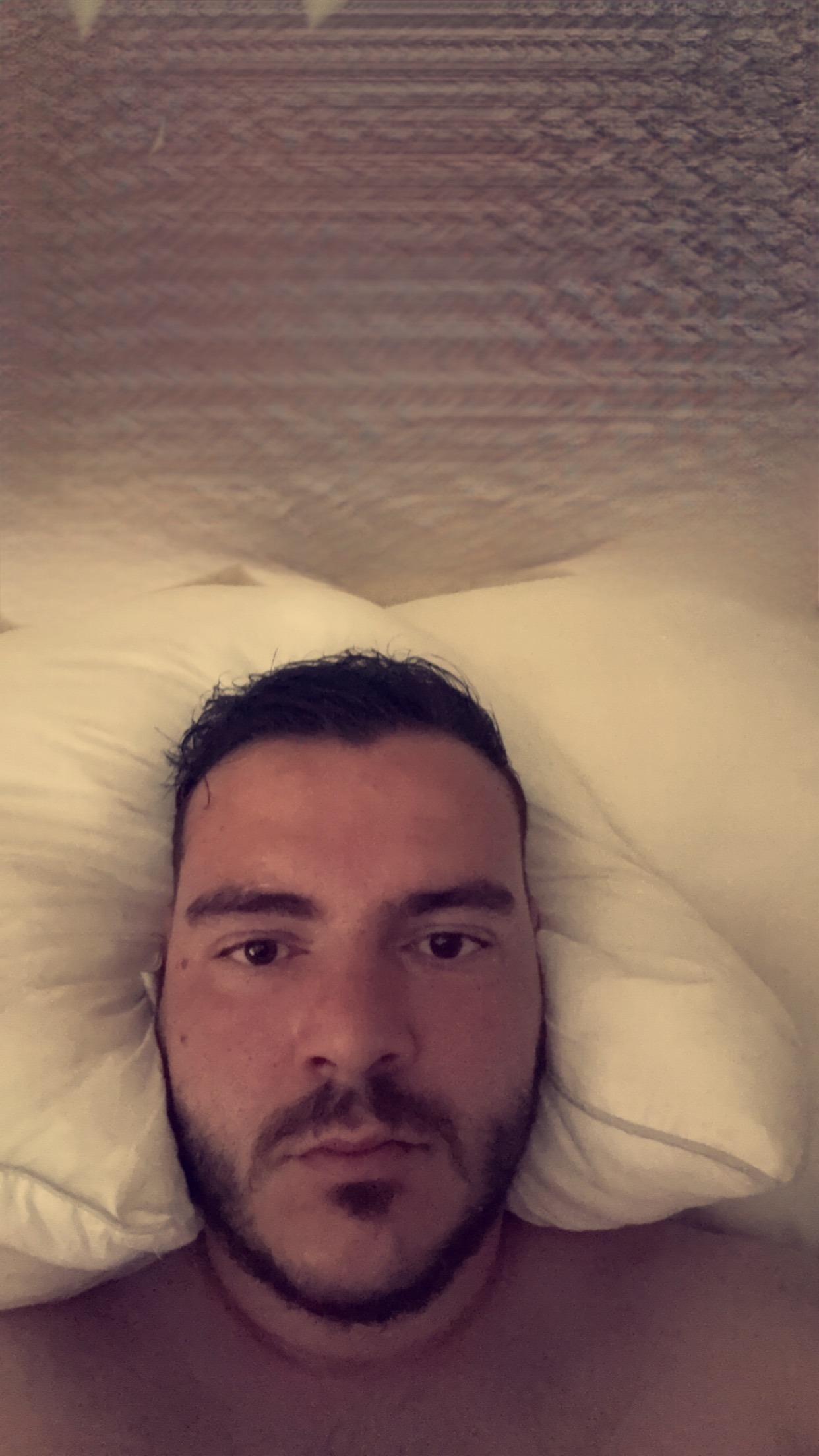 Perfil de Chahid, 29 años, ts escort en Sigeres