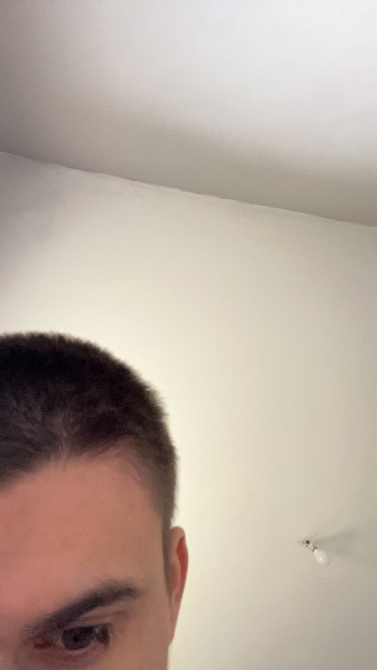 Perfil de Rylan, 22 años, ts escort en Albons