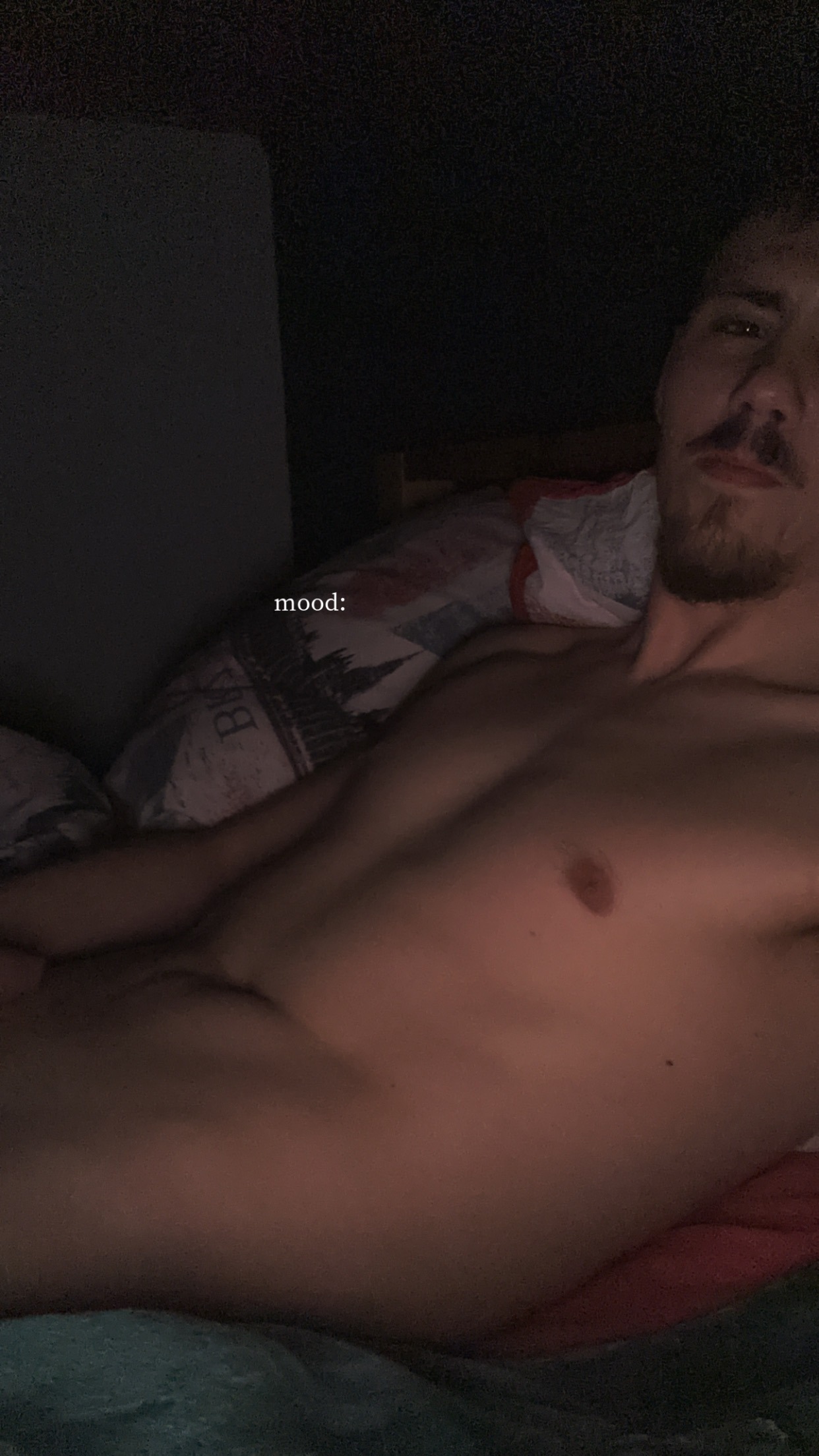 Perfil de Kahan, 24 años, ts escort en Luzaga